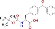 Boc-4-benzoyl-L-phenylalanine