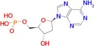 2′-Deoxyadenosine-5′-monophosphate