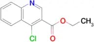 Ethyl 4-chloroquinoline-3-carboxylate