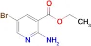 Ethyl 2-amino-5-bromonicotinate
