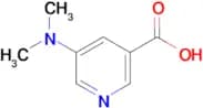 5-(Dimethylamino)nicotinic acid