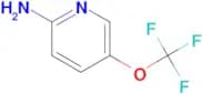 5-(Trifluoromethoxy)pyridin-2-amine
