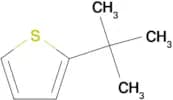 2-(tert-Butyl)thiophene