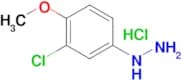 (3-Chloro-4-methoxyphenyl)hydrazine hydrochloride