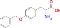 (R)-2-Amino-3-(4-(benzyloxy)phenyl)propanoic acid