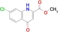 Methyl 7-chloro-4-hydroxyquinoline-2-carboxylate