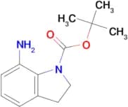 tert-Butyl 7-aminoindoline-1-carboxylate