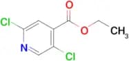 Ethyl 2,5-dichloroisonicotinate