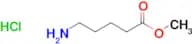 Methyl 5-aminopentanoate hydrochloride