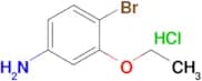 4-Bromo-3-ethoxyaniline hydrochloride
