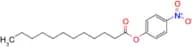4-Nitrophenyl dodecanoate