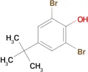 2,6-Dibromo-4-(tert-butyl)phenol