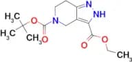 5-tert-Butyl 3-ethyl 6,7-dihydro-1H-pyrazolo[4,3-c]pyridine-3,5(4H)-dicarboxylate