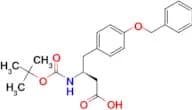 (S)-4-(4-(Benzyloxy)phenyl)-3-((tert-butoxycarbonyl)amino)butanoic acid