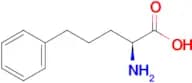 (S)-2-Amino-5-phenylpentanoic acid