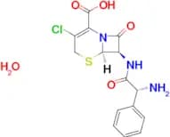 Cefaclor monohydrate