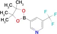 3-(4,4,5,5-Tetramethyl-1,3,2-dioxaborolan-2-yl)-5-(trifluoromethyl)pyridine