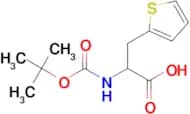 2-((tert-Butoxycarbonyl)amino)-3-(thiophen-2-yl)propanoic acid