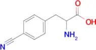 2-Amino-3-(4-cyanophenyl)propanoic acid