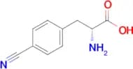 (R)-2-Amino-3-(4-cyanophenyl)propanoic acid