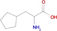 2-Amino-3-cyclopentylpropanoic acid
