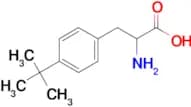 2-Amino-3-(4-(tert-butyl)phenyl)propanoic acid