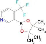 3-(4,4,5,5-Tetramethyl-1,3,2-dioxaborolan-2-yl)-4-(trifluoromethyl)pyridine