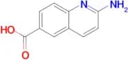 2-Aminoquinoline-6-carboxylic acid