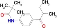 2,2-dimethyl-N-[4-(2-methylbutanoyl)phenyl]propanamide