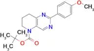 Tert-butyl 2-(4-methoxyphenyl)-7,8-dihydropyrido[3,2-d]pyrimidine-5(6H)-carboxylate