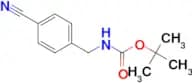 4-BOC-AMINOMETHYL-BENZONITRILE