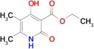 ETHYL 2,4-DIHYDROXY-5,6-DIMETHYLNICOTINATE