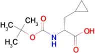 (R)-2-(BOC-AMINO)-3-CYCLOPROPYLPROPANOIC ACID
