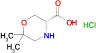 (R)-6,6-DIMETHYL-MORPHOLINE-3-CARBOXYLIC ACID HCL