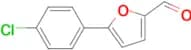 2-FORMYL-5-(4-CHLOROPHENYL)FURAN
