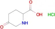 5-OXOPIPERIDINE-2-CARBOXYLIC ACID HCL