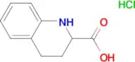 1,2,3,4-TETRAHYDROQUINOLINE-2-CARBOXYLIC ACID HCL