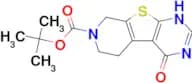 TERT-BUTYL 4-OXO-3,4,5,6-TETRAHYDROPYRIDO[4′,3′:4,5]THIENO[2,3-D]PYRIMIDINE-7(8H)-CARBOXYLATE