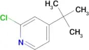 4-tert-Butyl-2-chloro-pyridine