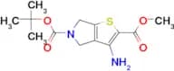 5-TERT-BUTYL 2-METHYL 3-AMINO-4H-THIENO[2,3-C]PYRROLE-2,5(6H)-DICARBOXYLATE
