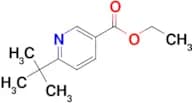 ETHYL 6-(TERT-BUTYL)NICOTINATE