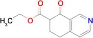 ETHYL 8-OXO-5,6,7,8-TETRAHYDROISOQUINOLINE-7-CARBOXYLATE