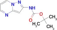 TERT-BUTYL PYRAZOLO[1,5-A]PYRIMIDIN-2-YLCARBAMATE
