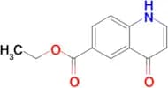 ETHYL 4-HYDROXYQUINOLINE-6-CARBOXYLATE