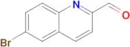 6-BROMOQUINOLINE-2-CARBALDEHYDE