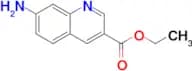 ETHYL 7-AMINOQUINOLINE-3-CARBOXYLATE