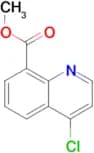 METHYL 4-CHLOROQUINOLINE-8-CARBOXYLATE