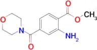 METHYL 2-AMINO-4-(MORPHOLINE-4-CARBONYL)BENZOATE