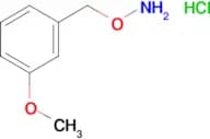 O-(3-METHOXYBENZYL)HYDROXYLAMINE HCL