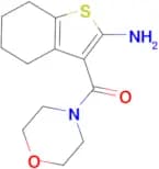 3-(morpholin-4-ylcarbonyl)-4,5,6,7-tetrahydro-1-benzothiophen-2-amine